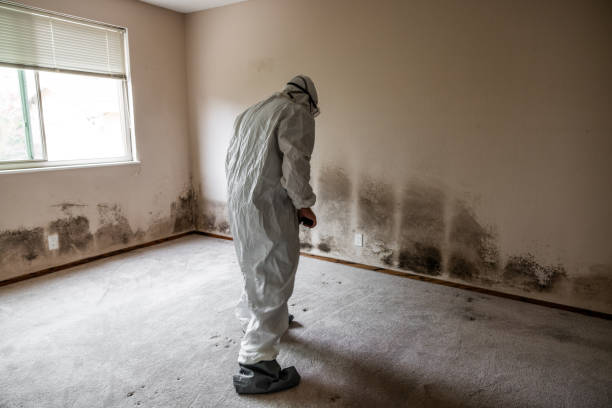 Cherry Hill Mall, NJ Mold Removal Company